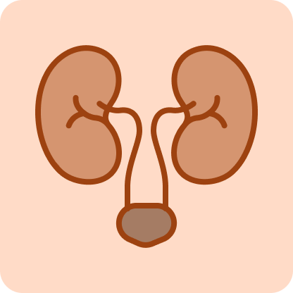 Urine R/M (Urine Routine & Microscopy) Urine R/M (Urine Routine & Microscopy)