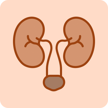 ADH-Antidiuretic Hormone (Vasopressin)