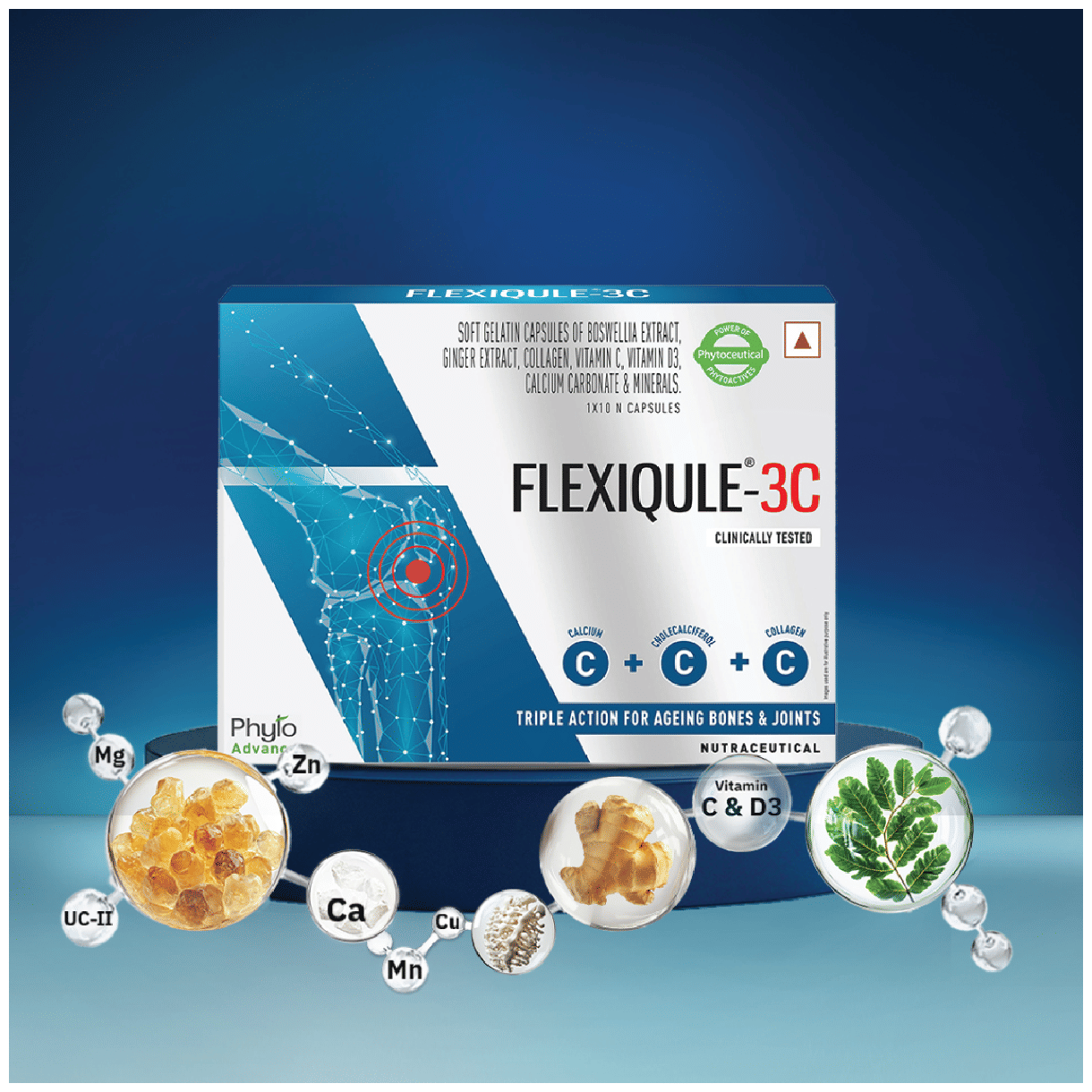 FLEXIQULE 3C 10X10 - Scraped Image