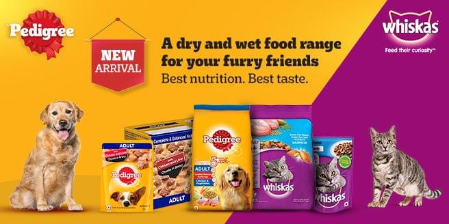 Best Pet Supplies Store in India  Buy All Pets Products Online