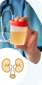 Urine R/M (Urine Routine & Microscopy)
