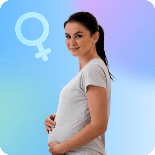 Pregnancy Pregnancy