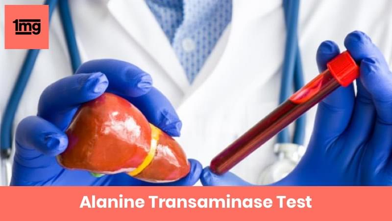 Alanine Transaminase