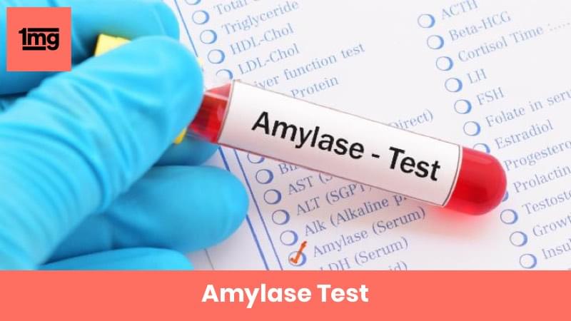 Amylase