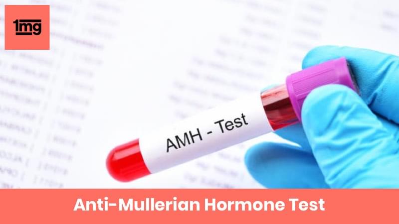 Anti-Mullerian Hormone