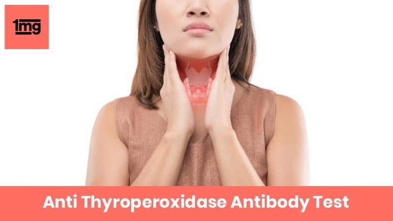 Anti Thyroperoxidase Antibody