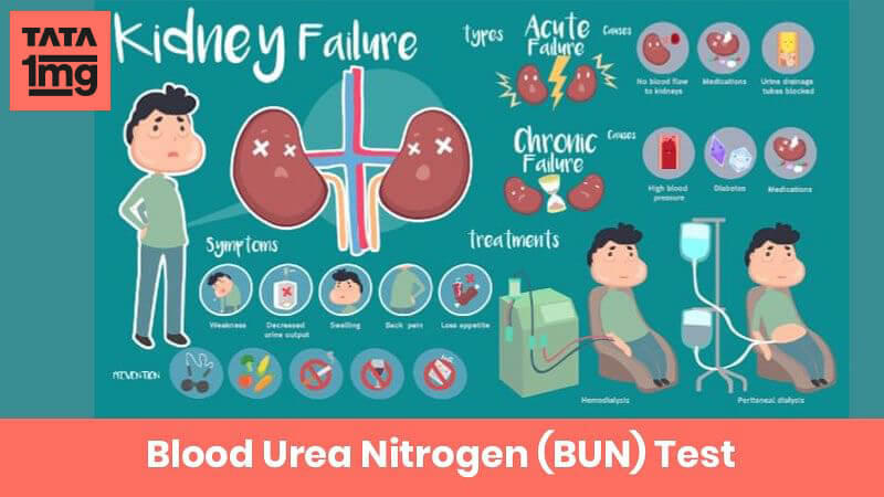 bun blood urea nitrogen normal range