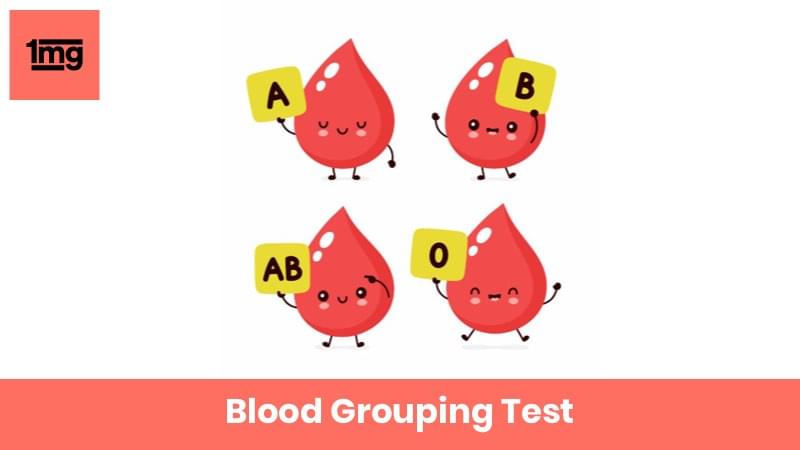 principle of blood grouping experiment