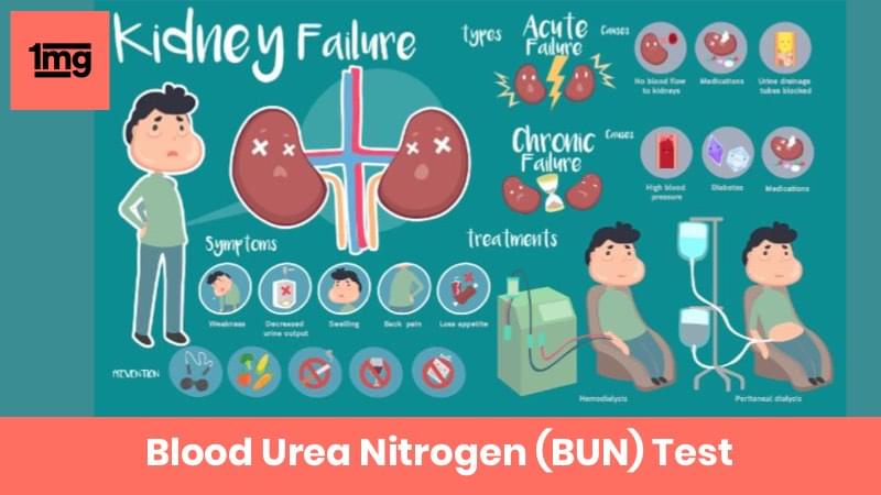Blood Urea Nitrogen