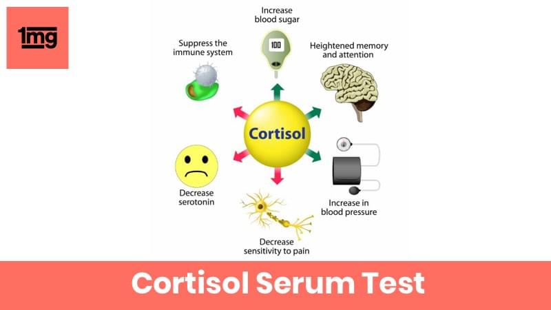 Cortisol Serum (7 to 9 AM)