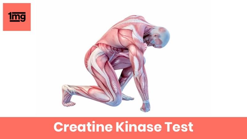 Creatine Kinase