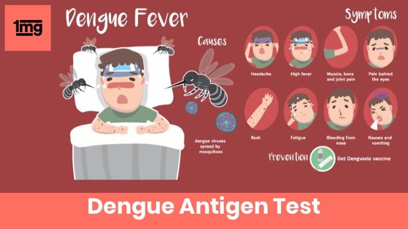 Dengue Antigen