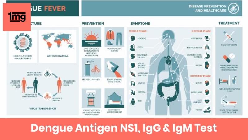 Dengue Antigen NS1, IgG & IgM