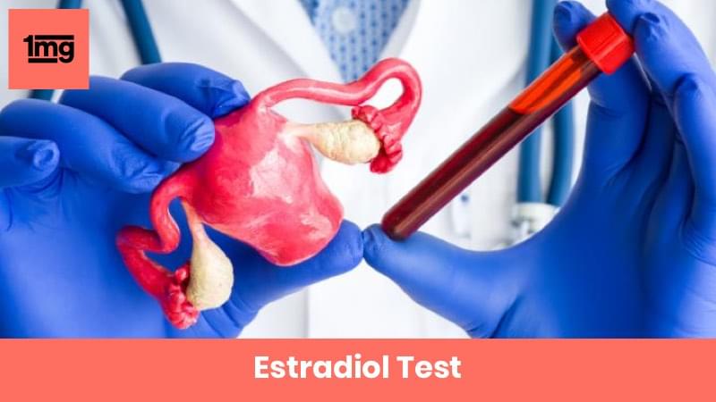Estradiol Test
