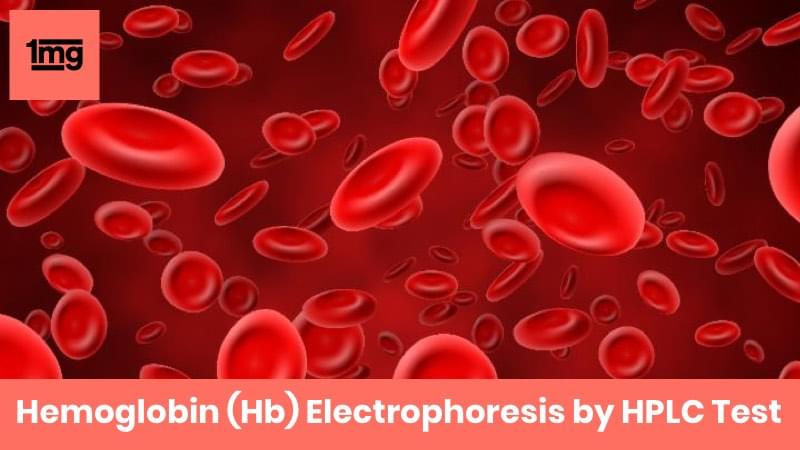 Hemoglobin Hb Electrophoresis By Hplc Purpose Normal Range Of Results 1mg