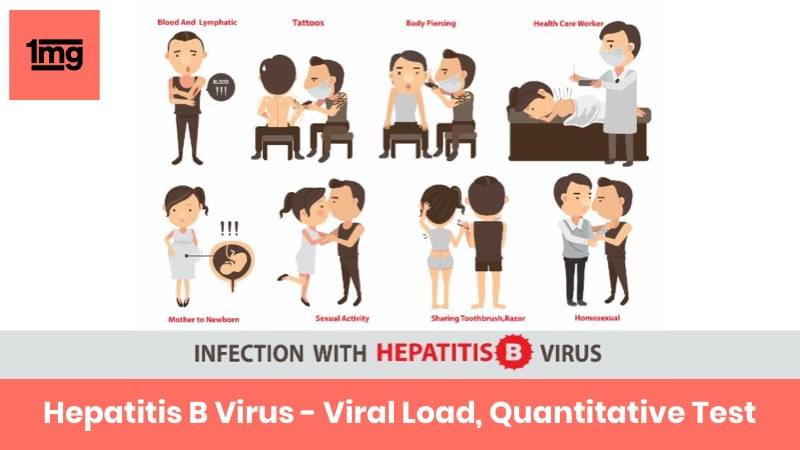 Hepatitis B Virus - Viral Load, Quantitative (HBV Quant.): Purpose ...