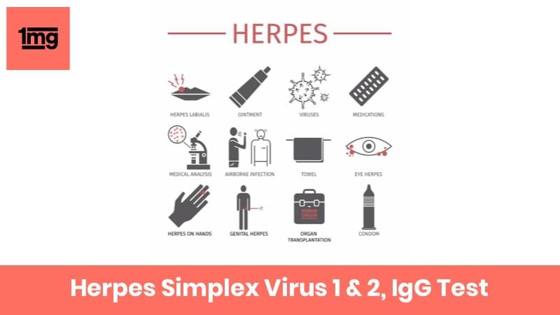 Hsv Test Results Herpes Test Blood Test For Herpes Infection Accesa Hsv Test Results Herpes Test Blood Test For Herpes Infection Accesa