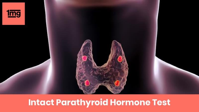 Intact parathyroid hormone ipth purpose normal range of results 1mg