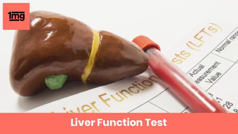 Liver Function Test