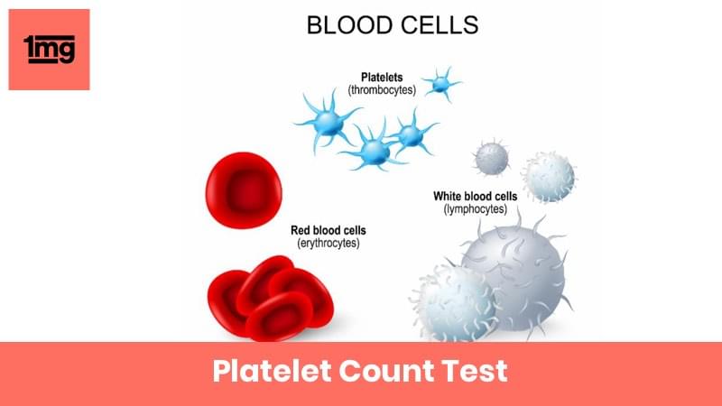 Platelet Count (PC) Purpose & Normal Range of Results 1mg