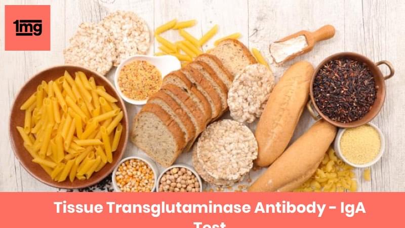 Tissue Transglutaminase Antibody IgA tTG IgA Purpose Normal tissue-transglutaminase-antibody-iga-ttg-iga-purpose-normal