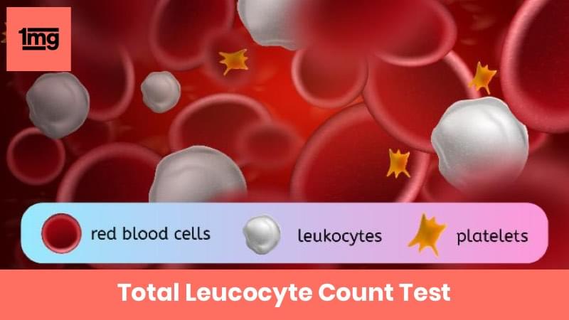 Total Leucocyte Count