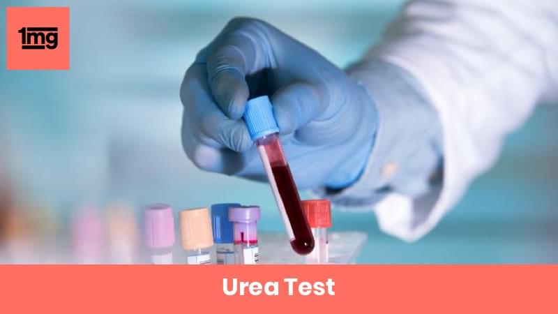 Blood Urea