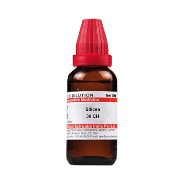 Dr Willmar Schwabe India Symphytum Officinale Dilution 30 Ch Buy Bottle Of 30 Ml Dilution At Best Price In India 1mg