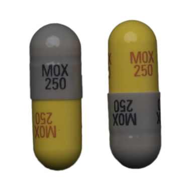 Www 1mg Com Drugs Termin 30mg Injection 610 21 12 04 Www 1mg Com Drugs Niftas 50 Tablet Onemg Gumlet Io Image Upload A Ignore W 380 H 380 C Fit Q Auto F Auto V Aquqfkuw73xljvn7vhpw Jpg Niftas 50