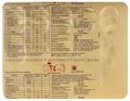 New A to Z Gold Soft Gelatin Capsule thumbnail
