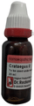 Dr. Reckeweg Crataegus Mother Tincture Q thumbnail