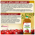 St.Botanica Apple Cider Vinegar with Mother Vinegar-Raw, Unfiltered, Unrefined thumbnail