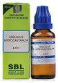 SBL Aesculus Hippocastanum Dilution 6 CH thumbnail