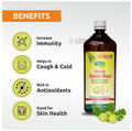Swadeshi Shudh Amla Ras Juice thumbnail