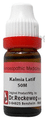 Dr. Reckeweg Kalmia Latif Dilution 50M CH thumbnail