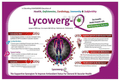 Virgo Healthcare Lycowerg-Q Tablet thumbnail