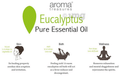 Aroma Treasures Eucalyptus Essential Oil thumbnail