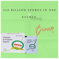 Virgo Healthcare Biovir Sachet 1gm thumbnail