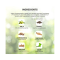 Dabur Chyawanprash Awaleha Red thumbnail