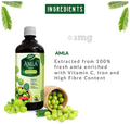 Dabur Amla Juice thumbnail