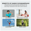 Dabur Chyawanprash Awaleha with 50gm Extra thumbnail
