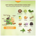 Saffola Immuniveda Kadha Mix (4gm Each) thumbnail