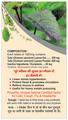 Basic Ayurveda Tulsi (Basil) Tablet thumbnail