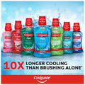 Colgate Plax Gentle Care Alcohol Free Mouth Wash thumbnail