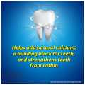 Colgate Strong Teeth Toothpaste Saver Pack thumbnail