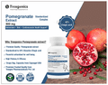 Trexgenics Pomegranate Extract 500mg Veg. Capsules thumbnail