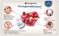 Trexgenics Pomegranate Extract 500mg Veg. Capsules thumbnail