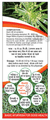 Basic Ayurveda Durva Ras thumbnail