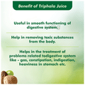 Baidyanath (Jhansi) Triphala Juice thumbnail