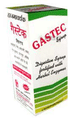 Gastec Syrup thumbnail